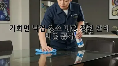 가회면 낙엽 청소🍂: 대형 정원 관리 비법 공개!