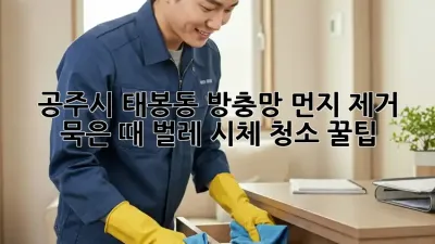 공주시 태봉동 방충망 먼지 제거 ✨ 묵은 때, 벌레 시체 청소 꿀팁